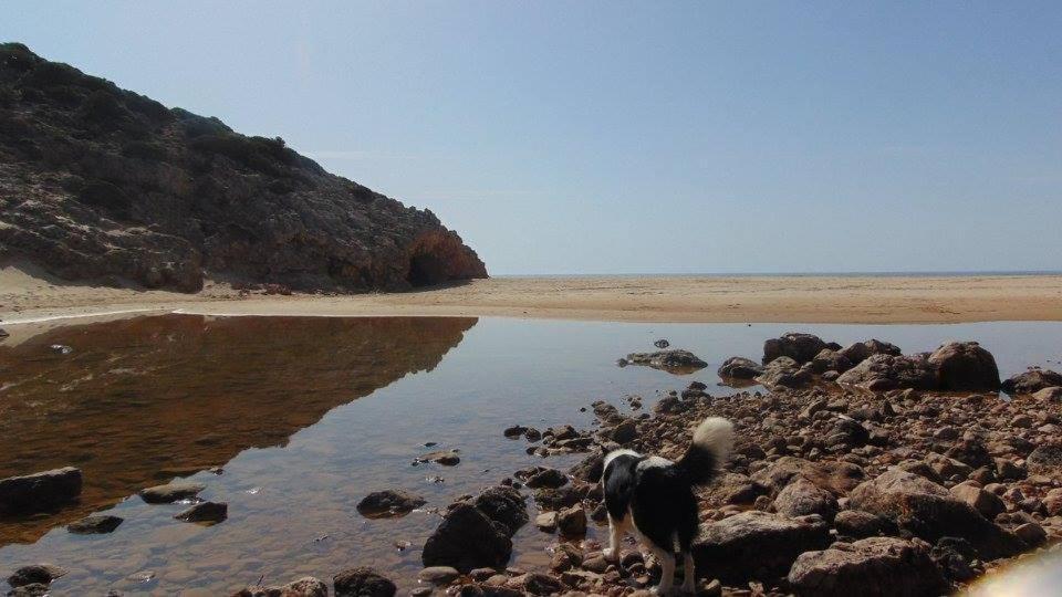 Casa Mestre فيلا دو بيسبو المظهر الخارجي الصورة